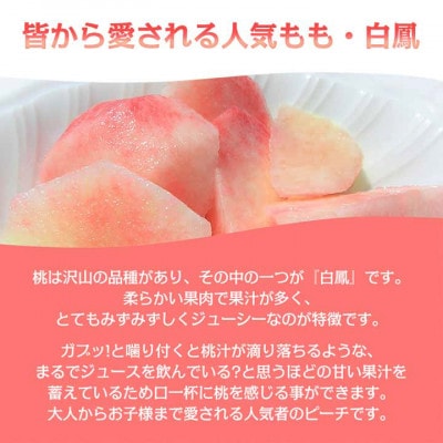 《2026年発送　先行受付》桃 『白鳳系』 約2kg 5～8玉 朝もぎ直送! 選び抜かれた桃【配送不可地域：離島】