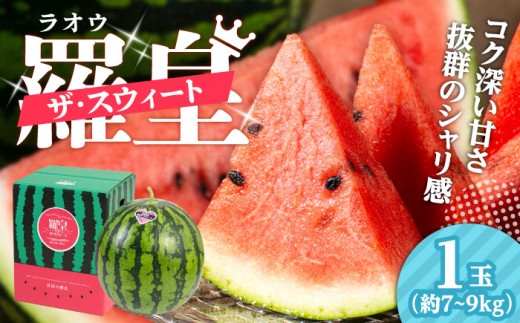 【先行予約・26年6月以降発送】日田西瓜(すいか)（羅皇ザ・スウィート）  1玉 7~9kg すいか スイカ 西瓜 羅皇スイカ くだもの 果物 糖度日田市 / JAおおいた 【配送不可地域：北海道・沖縄・離島】[AREW002]