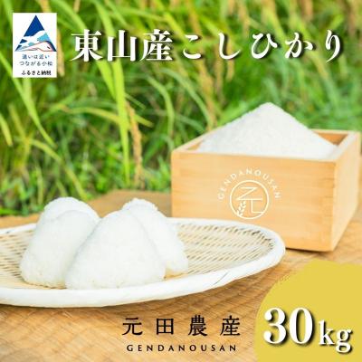 ふるさと納税 小松市 【先行予約】令和8年産 コシヒカリ 精米 30kg 石川県 小松市 こしひかり お米 白米 元田農産