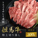 【ふるさと納税】【但馬牛】特上切り落し 300g (焼肉用) 神戸牛 神戸ビーフ 黒毛和牛 国産牛 ブランド和牛 切り落とし 切り落とし肉 牛切り落とし 焼き肉 焼肉 BBQ バーベキュー A4ランク以上 A4ランク A4 兵庫県 朝来市 AS1BB19