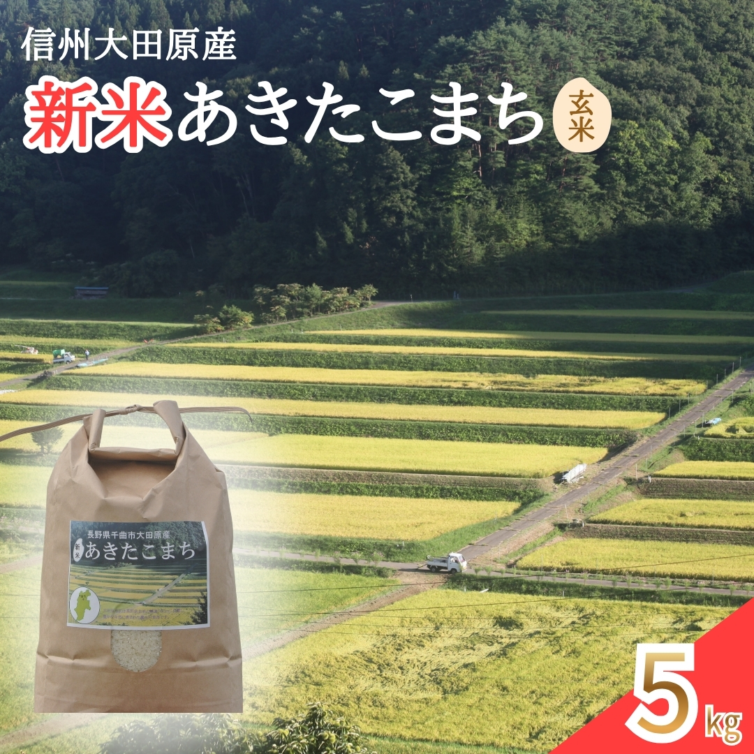 【2026年先行予約】信州大田原産 新米 あきたこまち玄米 5kg | あきたこまち 新米 玄米 お米 おこめ コメ 5キロ 千曲市 信州 長野県