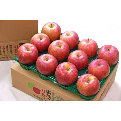【26年1月出荷予定】平均糖度13度以上! シナノスイート 約5kg 訳あり【配送不可地域：離島・沖縄】【1612868】