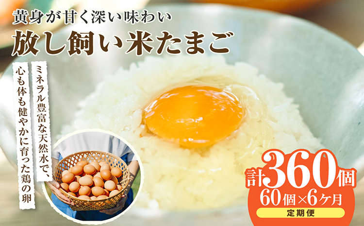 【6か月定期便】放し飼い米たまご55個+5個保証（計60個）