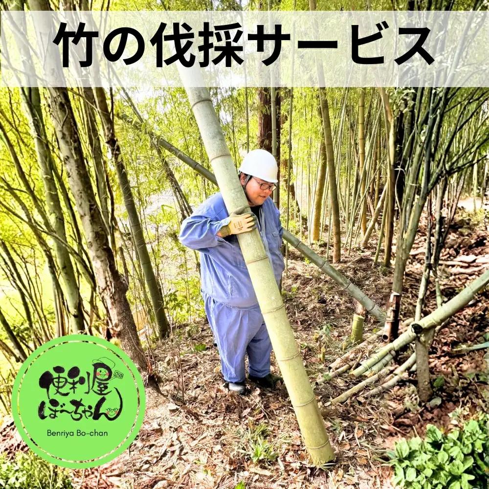 竹の伐採サービス 1回 五泉市内限定 便利屋ぼーちゃん
