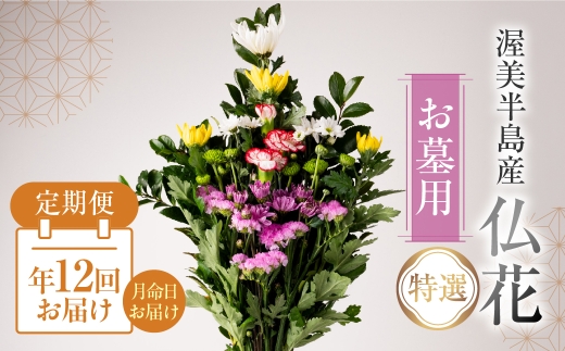 【定期便　年12回】産地直送 《お墓用》 仏花 特選 日時指定可 生産額 日本一 田原市 渥美半島 月命日 お彼岸 お盆 年末 鮮度 生花 お花 定期便 お墓まいり