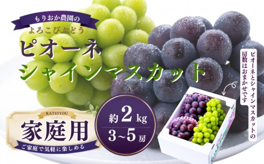 家庭用 ピオーネ＆シャインマスカット 約2kg 3～5房 岡山県新見市 もりおか農園 よろこびぶどう  【先行予約 2026年10月上旬から順次発送】
