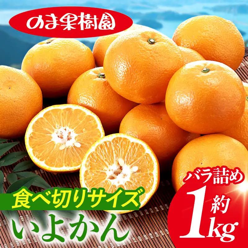 【先行予約】いよかんバラ詰め（1kg）