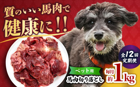 【全12回定期便】国内加工 ペット用 馬肉 切り落とし 1kg  【合同会社　長岡フーズ】[ZFR056]