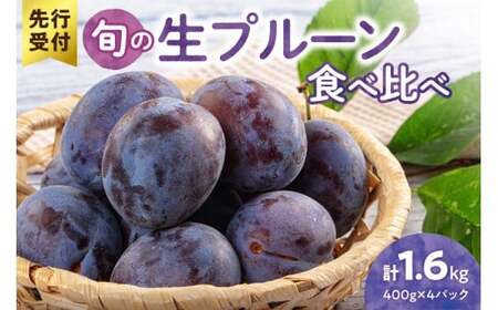 【先行予約：2026年8月以降発送】旬の生プルーン 食べ比べ 1.6kg(400g×4パック）_Y153-0001