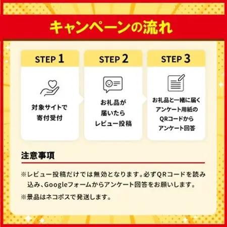 【沖縄本場の味・レビューキャンペーン対象】与那覇食品の沖縄そば＆ソーキそば 各2食セット【1663185】