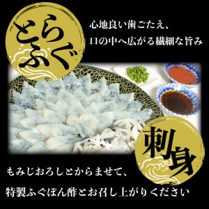 とらふぐ 刺身 炊き込みご飯 2人前セット冷凍 魚介 海鮮 フグフグ AU