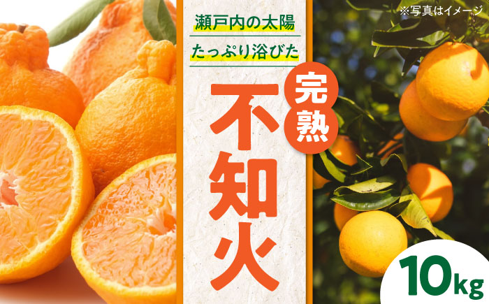 【先行予約】【2025年2月下旬から順次発送】おひさまの光をいっぱい浴びて育ちました！新鮮！完熟不知火 10kg　愛媛県大洲市/永沼農園 [AGAW004]みかん オレンジ フルーツ ミカン 果物 かき氷 みかんジュース 愛媛みかん こたつ みきゃん スムージー デザート おやつ ヨーグルト 調味料 ドレッシング 隠し味 料理