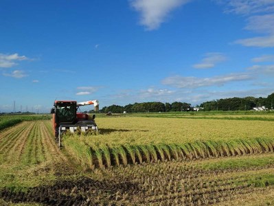 【令和5年産】にじのきらめき精米 15kg（5kg×3）【荒川アグリ】_DH02◇