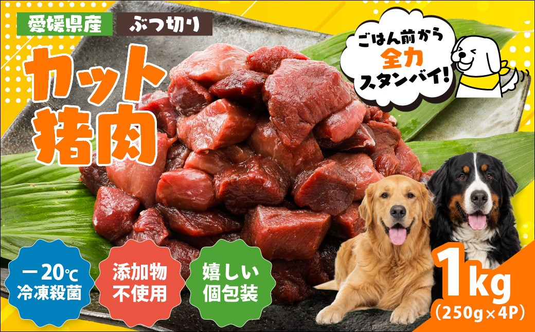 
                  【愛犬用】カット猪肉（ぶつ切り）1kg（250g×4P）＜ペット ペットフード 犬 ワンちゃん個包装  餌 毎日 ジビエ 犬用 おやつ 猪肉  愛媛県産 鬼北町 ドッグフード 冷凍殺菌 特定非営利活動法人Cambio＞  
                