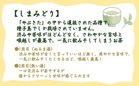 【 R8年産 】種子島  射場貴大 茶園  「松寿」 「くりわたせ」 「しまみどり」　「みねゆたか」 種子島 限定 4茶葉セット　NFN571 【350pt】 // 日本茶 緑茶 希少品種 お茶 新茶