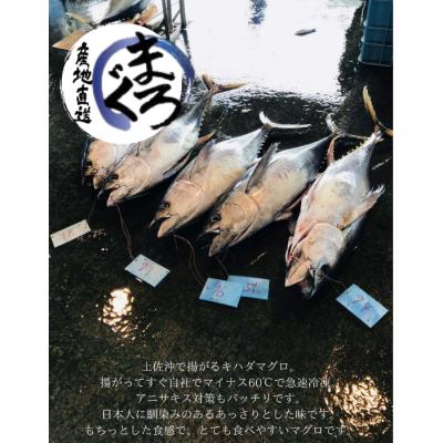 ふるさと納税 田野町 【四国一小さなまち】土佐沖どれキハダマグロ　約250g×3柵【カネアリ水産】 |  | 01
