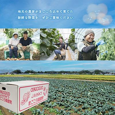 ふるさと納税 君津市 JAきみつ 旬の野菜詰合せ(6〜8種) |  | 02