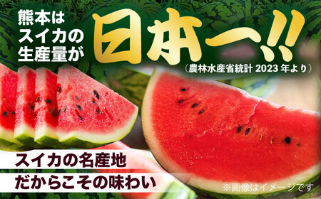 【先行予約】　【訳あり】 大玉すいか 1玉 約6kg～9kg 【株式会社 Foody’s】[AYAT007]