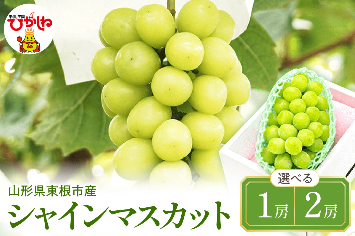 
            2025年ぶどう「シャインマスカット」 【選べる内容量: 1房（約600g） / 2房（約1.2kg）】 東根農産センター提供 山形県 東根市 hi027-180
          