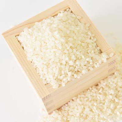 ふるさと納税 取手市 取手市産　コシヒカリ　7kg |  | 02