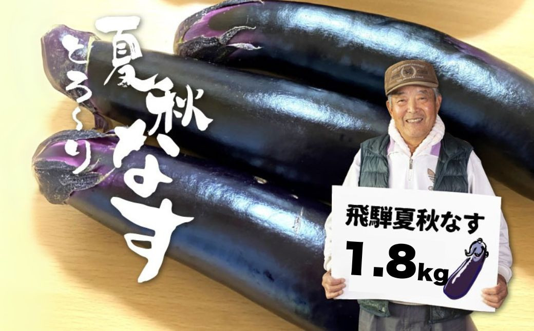 
            先行予約 令和7年産【7月上旬～10月中旬発送】飛騨 夏秋なす 選べる内容量 約1.8kg 約3.5kg (12-15本)茄子 ナス 大なす 産地直送 夏野菜 syun170
          