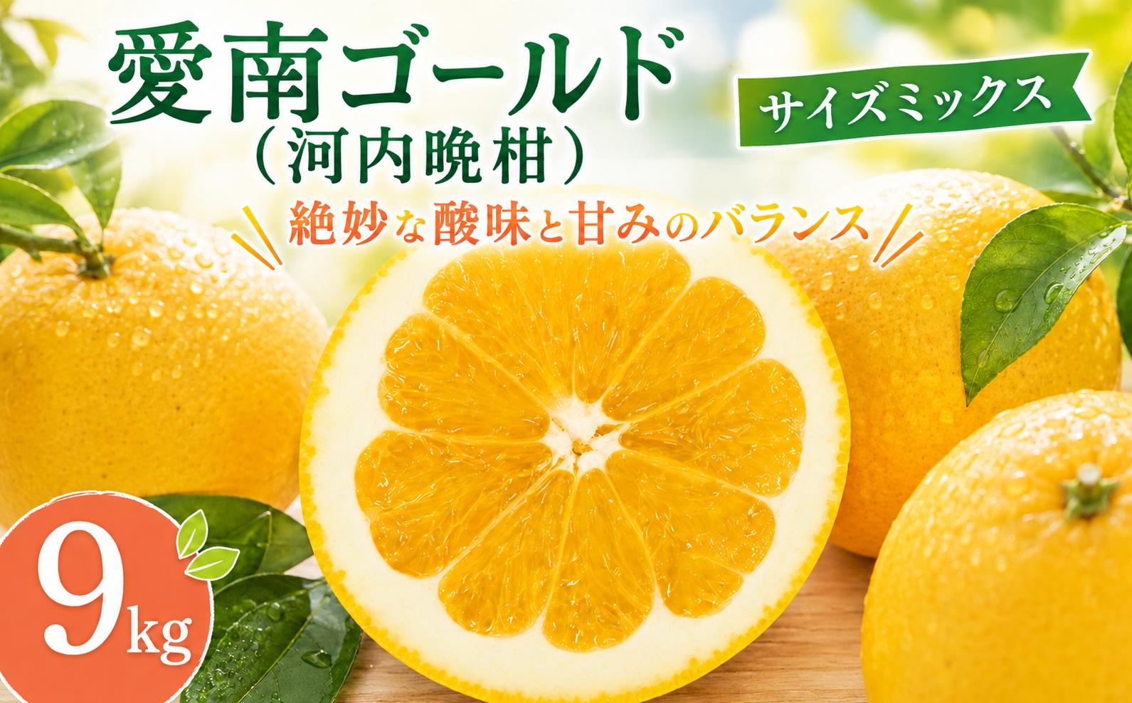 
                  訳あり 河内晩柑 (愛南ゴールド) 大玉小玉ミックス 9kg かわちばんかん ミカン わけあり 家庭用 あいなん ゴールド 蜜柑 和製 グレープフルーツ 産地直送 国産 農家直送 期間限定 数量限定 フルーツ 果物 柑橘 傷 不揃い 規格外 愛媛県 愛南町 愛なんよ
                