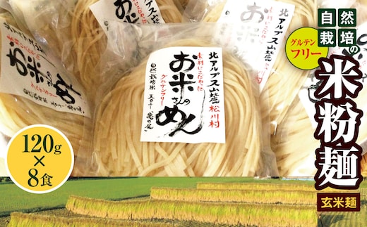 
										
										グルテンフリー自然栽培の米粉麺（玄米麺）120g×8食
									