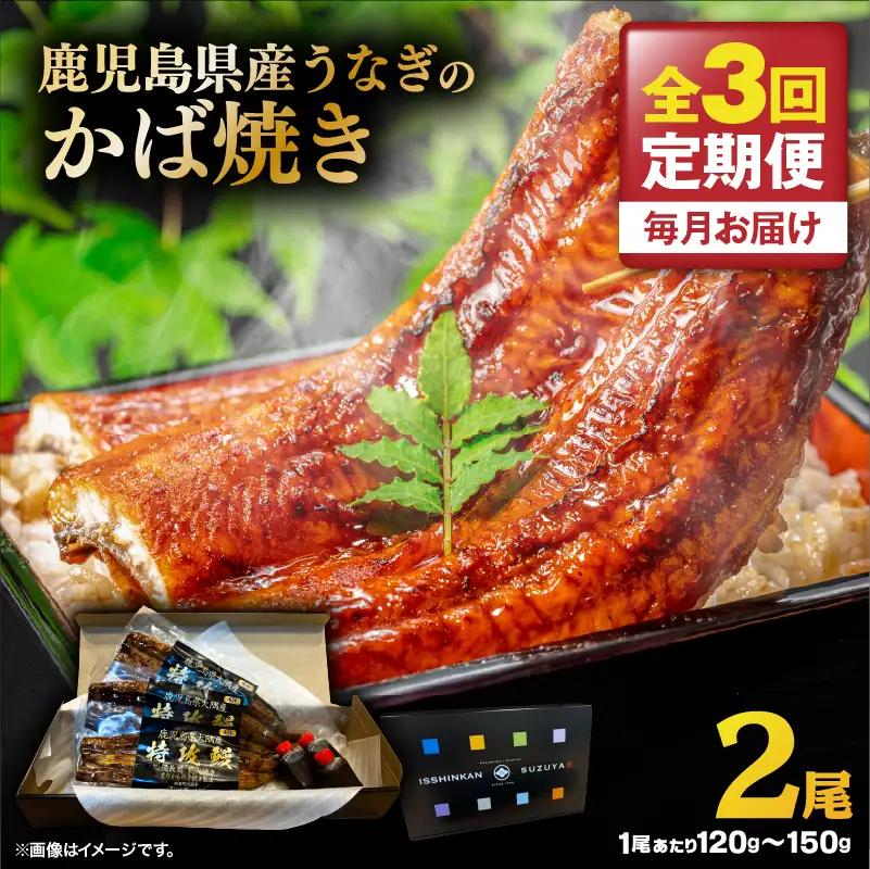 【 全3回 定期便 】 鹿児島県産 うなぎ の かば焼き 2尾 KN174-T02 定期 ウナギ 鰻 蒲焼き 冷凍