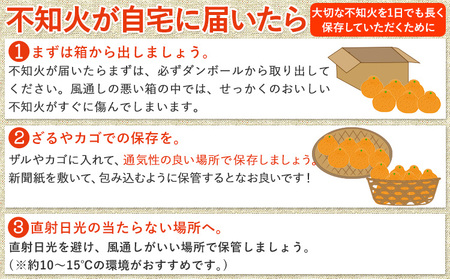 訳あり 不知火 5kg しらぬい デコポン