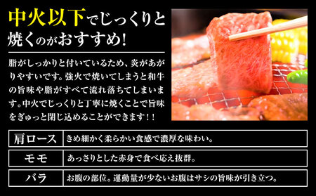 くまもと黒毛和牛 焼肉用 1kg 黒毛和牛