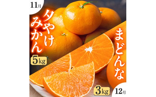 ＜発送月固定定期便＞「こたつの上の冬物語」夕やけみかん+まどんな!＜H49-72＞全2回【4056123】 YWTZ004