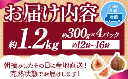 【☆2026年出荷☆】いちじく 福岡県産 ブランド いちじく とよみつひめ 約1.2kg (約300g×4パック) 【配送不可地域あり】【日付指定不可】 《8月中旬-9月末頃出荷(土日祝除く)》 福岡