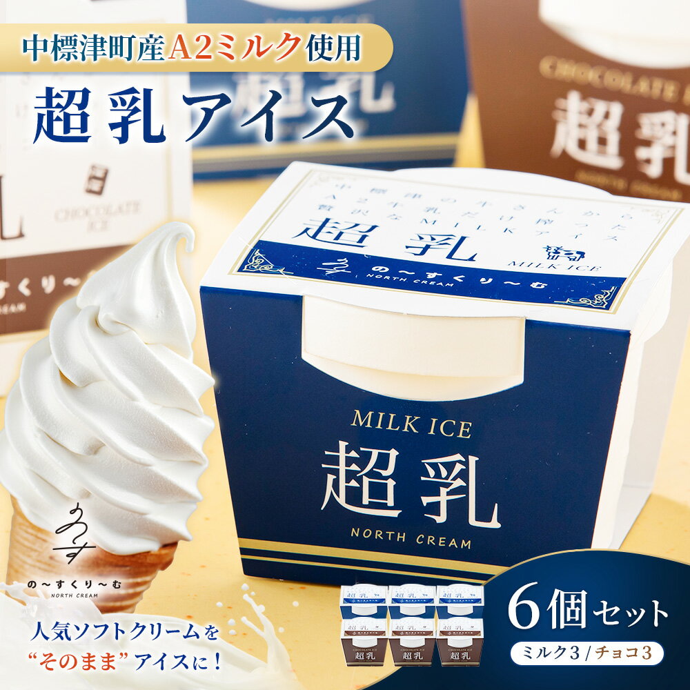 【ふるさと納税】中標津町　超乳アイス（ミルク＆チョコ）　140ml×6個セット　計840ml｜ ふるさと納税 北海道 中標津 詰め合わせ アイス ミルク チョコ A2ミルク 乳製品 スイーツ お取り寄せ NORTH CREAM の～すくり～む 中標津町【78001】