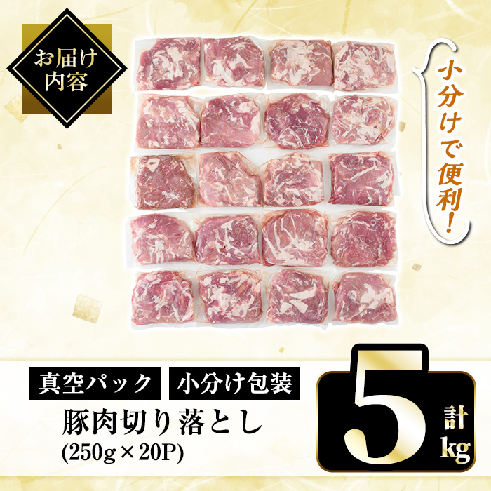 【寄附額改定】A5-033-D 国産！鹿児島県産豚肉切り落とし真空小分け 250g×20P(計5kg)【肉の豊楽】霧島市 肉 豚肉 切り落とし 小分け 真空パック 切落し