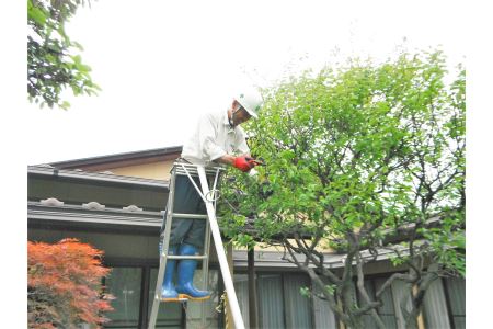 FS0001　庭木お手入れサービス（庭木の剪定・草刈り２時間×２人）