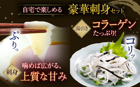 【全6回定期便】【着日指定 可能】活〆おうごんとらふぐ 刺身 セット（3人前） 平戸市 / 松永水産[KAB277]