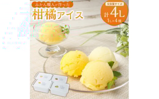 みかん職人が作った柑橘アイス1000ml×4種（夢オレンジ・愛媛みかん・河内晩柑・しらぬい）シャーベット ミカン 蜜柑 オレンジ 晩柑 しらぬい 果物 果実 デザート スイーツ 食べ比べ セット 冷凍 四国 愛媛県 【えひめの町（超）推し！（愛南町）】（294-1）