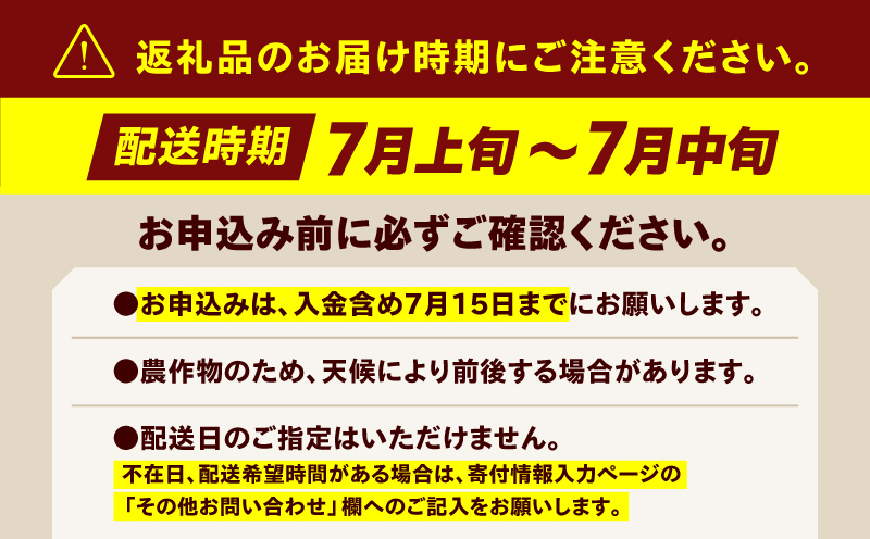 ＜先行予約＞三浦メロン（大玉2個）　M080-002-01