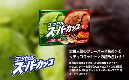 明治 エッセル スーパーカップミニ 抹茶・チョコクッキー 80ml × 2種 × 各3個 8箱【 アイス スイーツ デザート お菓子 アイス スイーツ デザート お菓子 アイス スイーツ デザート お