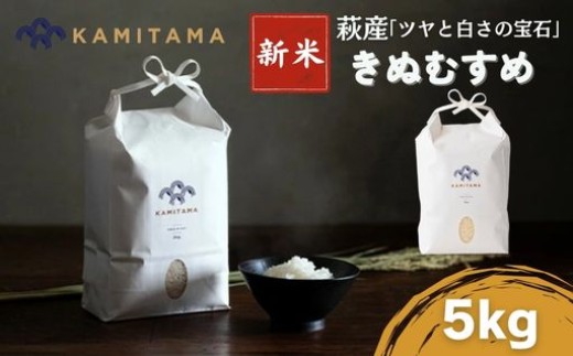 きぬむすめ 令和8年 5kg 米 コメ こめ 萩産 KAMITAMA