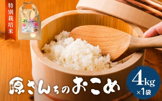 【令和8年産】原さんちのお米 白米 ４kg ひとめぼれ 米 お米 こめ コメ  ご飯 ヒトメボレ 常温 大分県 大分 玖珠町 玖珠