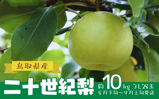 【先行予約】鳥取県産 二十世紀梨 約10㎏ ３L 28玉 (AD1-10)