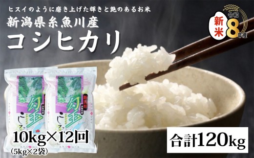 【令和8年産新米】新潟県産コシヒカリ『勾玉米』10kg（5kg×2袋）×12回 合計120kg 木島米穀店【新潟県 糸魚川市 米 お米 白米 こめ コメ こしひかり ご飯 ライス ブランド米 10キロ 120キロ 2026年産 食品 人気 おすすめ】