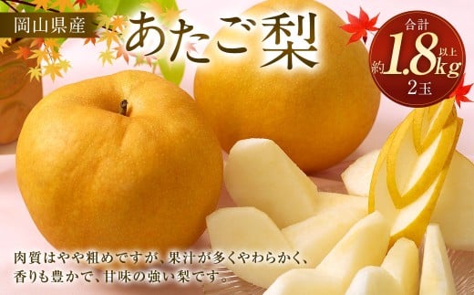 梨 2026年 先行予約 あたご梨 2玉 合計1.8kg以上 【2026年11月下旬～12月下旬 発送予定】 環山堂 岡山県産 愛宕梨 和梨 なし ナシ 果物 果実 フルーツ 岡山県 奈義町 冷蔵