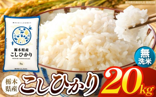 【令和8年産 新米】 栃木県産 お米 こしひかり　（無洗米） 20kg 【2026年秋以降発送】 |  栃木県 矢板市 【栃木県共通返礼品 真岡市産】
