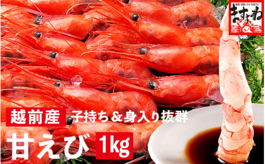 福井県産 越前 子持ち 甘えび 500g × 2パック（計1kg）【 増米 ますよね 敦賀 甘エビ えび エビ 海老 冷凍 急速冷凍 お中元 御中元 ギフト 贈り物 プレゼント】[001-a022(20)]