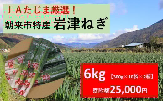 【 先行予約 】 JAたじま厳選！ 朝来市特産 岩津ねぎ 6kg（300g×10袋×2箱）