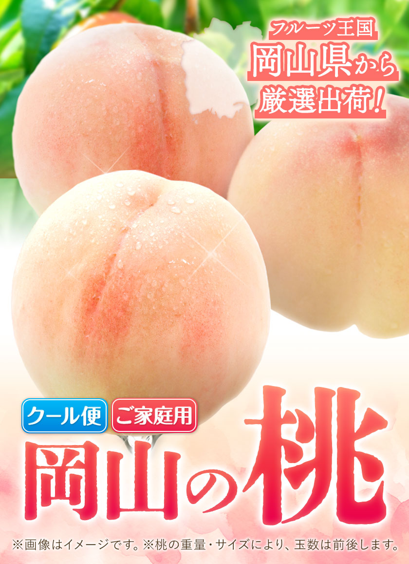 【2027年発送】桃 岡山の桃 約750g 《2027年6月下旬～9月上旬頃出荷》 ご家庭用 訳あり 白桃 岡山 はくとう スイーツ フルーツ 果物 デザート 旬 モモ もも 先行予約 送料無料 果物 岡山県 笠岡市 清水白桃 白鳳 白麗 クール便---kasaoka_zsy_418_075a---