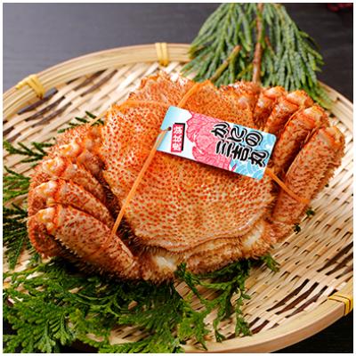 ふるさと納税 白老町 【浜ゆで】北海道産ボイル毛ガニ 1尾(400g前後)　