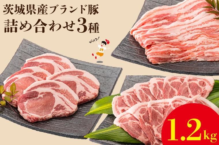 
                  茨城県産ブランド豚肉詰め合わせ1.2kg【内田本店 美味しい 人気 水戸市 茨城県】（EC-2）
                